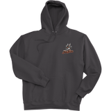 Danbury Hat Tricks Super Heavyweight Fleece Hoodie