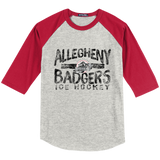 Allegheny Badgers Youth Colorblock Raglan Jersey