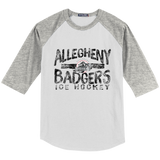Allegheny Badgers Youth Colorblock Raglan Jersey