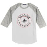 Allegheny Badgers Youth Colorblock Raglan Jersey